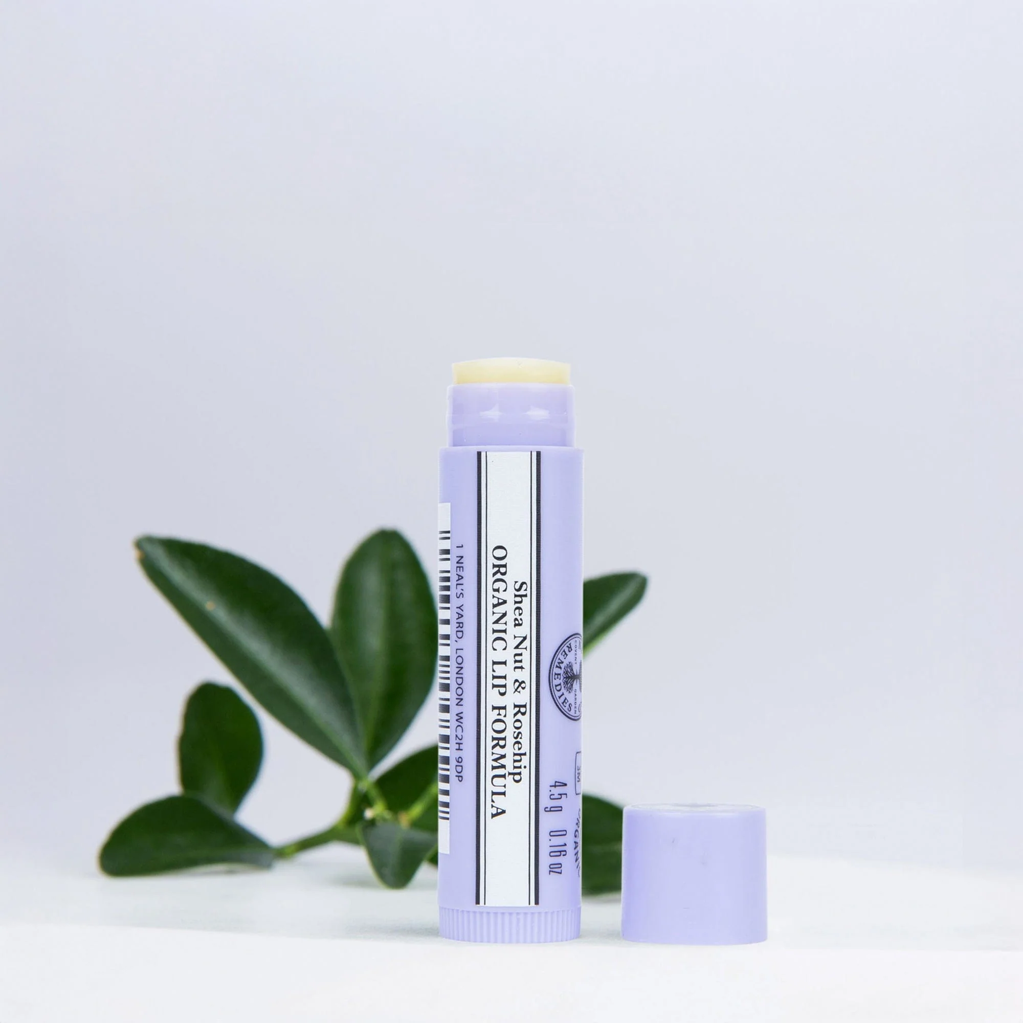 Shea Nut and Rosehip Organic Lip Formula 4.5g - Image 2